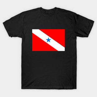 Flag of Para T-Shirt